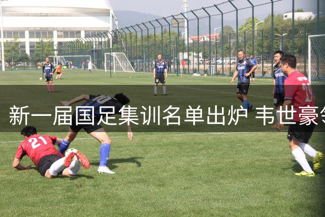 新一届国足集训名单出炉 韦世豪领衔7名蓉城球员入选